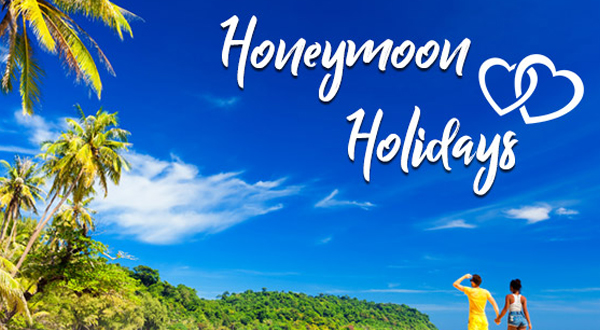 Car & Luxury Bus Rent